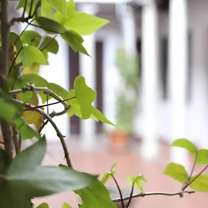 Adanar-las Columnas Daire